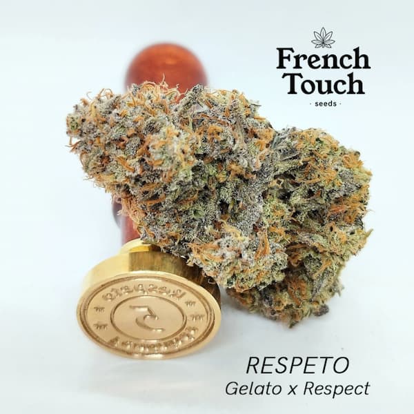 Respeto Seed > French Touch Seeds | Feminized Cannabis   |  Sativa